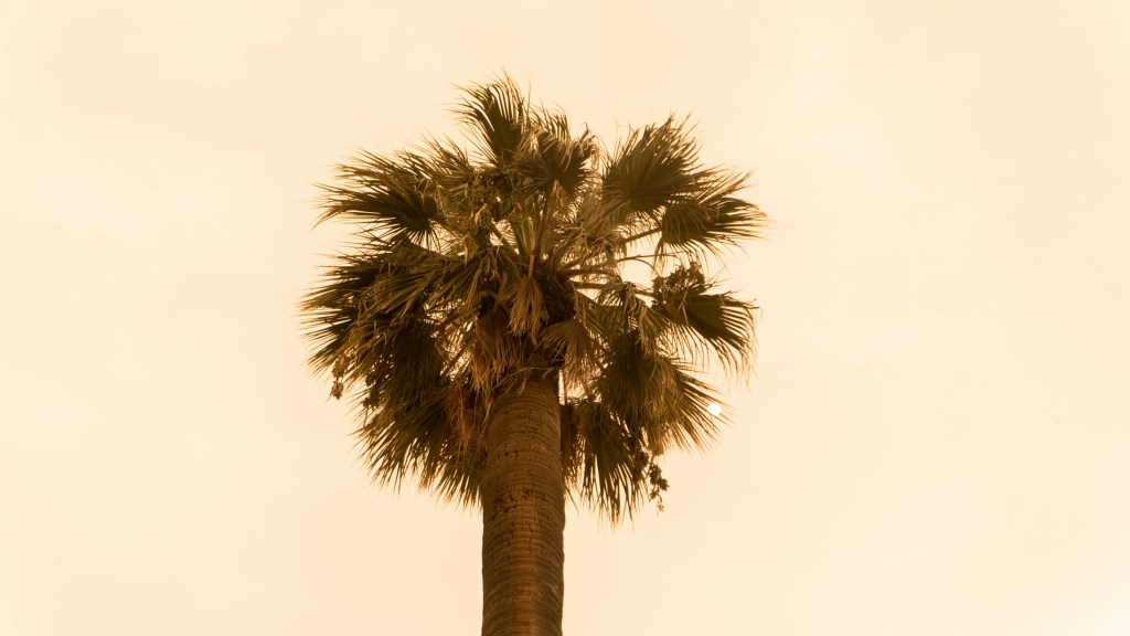 Moving to my dream area